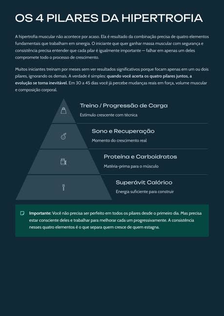 Página dos 4 pilares da hipertrofia